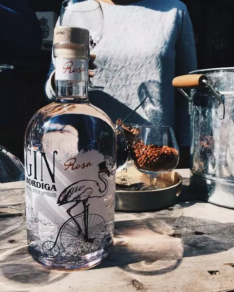 bordiga-rosa-italiaanse-gin-tonic
