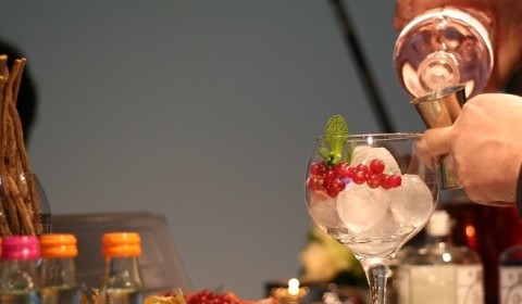 Gin tonic tasting of mobiele gin tonic bar huren