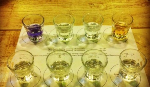 Gin tonic tasting of mobiele gin tonic bar huren